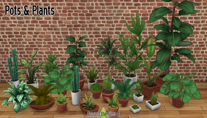 top-plants-for-resorts-hotels-private-gardens-wholesale-edition